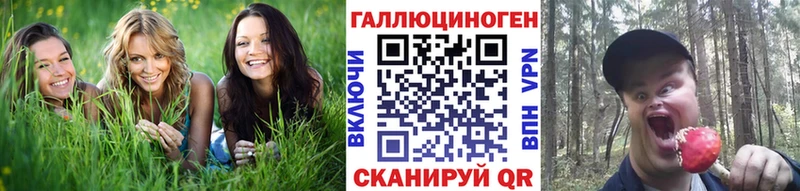 kraken зеркало Советск Галлюциногенные грибы Cubensis как найти наркотики